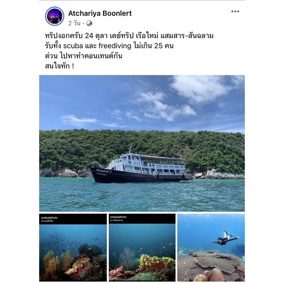 ทริป ดำน้ำ แสมสาร ( Freedive) เฉพาะกิจ