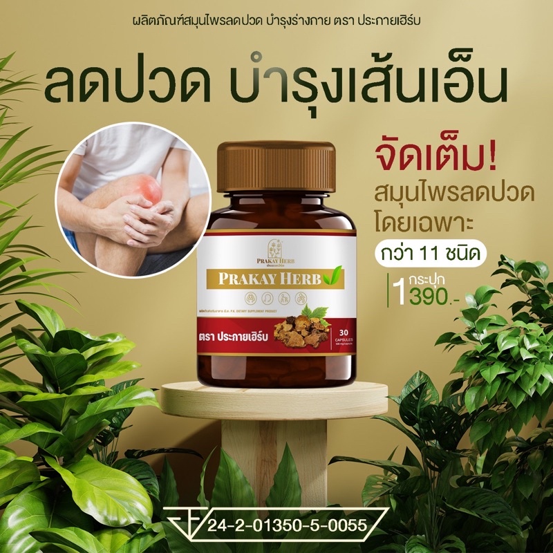 ส่งฟรี [ราคาส่ง] สมุนไพรช่วยเรื่องอาการปวด สมุนไพรประกายเฮิร์บ ปวดหลัง ปวดเข่า กระดูกทับเส้น ปวดไหล่