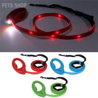 Pets Shop สายจูงสุนัข ไนล่อน Led 4 ฟุต ชาร์จ Usb พร้อมปลอกคอ สําหรับสุนัขขนาดเล็ก และขนาดใหญ่