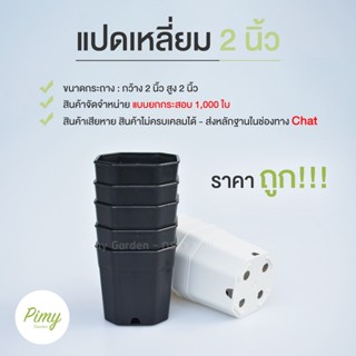 กระถาง 2 นิ้ว กระถางแคคตัสราคาถูก ทรงแปดเหลี่ยม สีดำ สีขาว ยกกระสอบ 1,000 ใบ