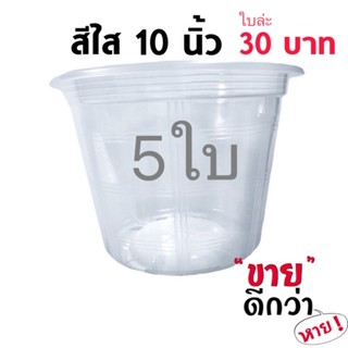 กระถางใสส่องราก 10 นิ้ว 5 ใบ