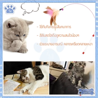 ไม้ตก ของเล่นแมวมีกระดิ่ง รุ่นปอมปอม สำหรับฝึกทักษะ ไม้ล่อแมว 66 ซม.