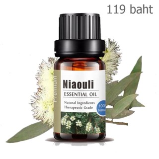 Aliztar 100% Pure Niaouli Essential Oil 10 ml น้ำมันหอมระเหยเสม็ดใบกว้าง สำหรับอโรมาเทอราพี เตาอโรมา เครื่องพ่นไอน้ำ ...