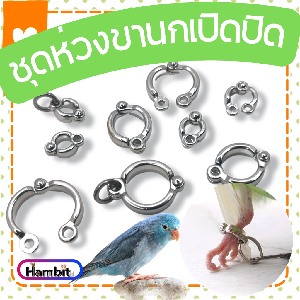 Hambit. ห่วงขานก ห่วงขานกฝึกบิน