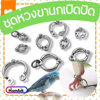 Hambit. ห่วงขานก ห่วงเปิดคล้องขานก ห่วงขานกแ ห่วงขาแบบเปิด ห่วงขานกแก้ว สายจูงนกสายพานกเที่ยว ห่วงขาเปิดได้ ห่วงขาฝึกบิน