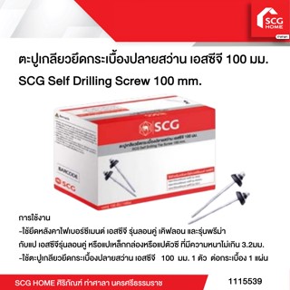 SCG ตะปูเกลียวยึดกระเบื้องปลายสว่าน เอสซีจี 100 มม. SCG Self Drilling Screw 100 mm.