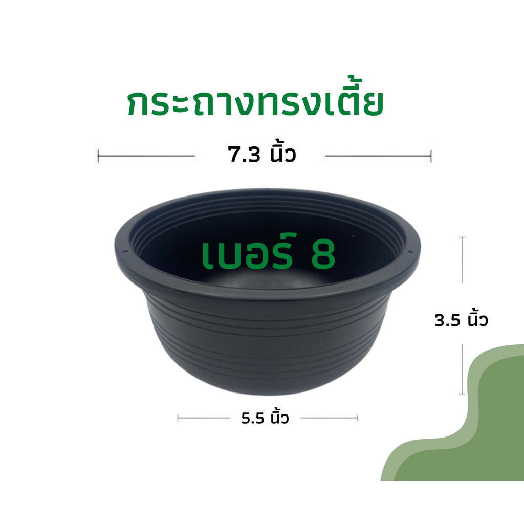 กระถางทรงเตี้ย เบอร์ 8 กระถางแขวน กระถางเพาะเมล็ด สีดำ