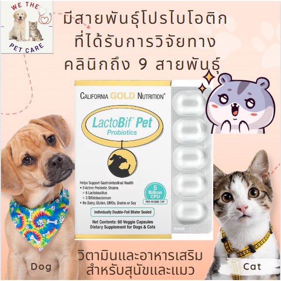 LactoBif Pet Probiotics, 5 Billion CFU