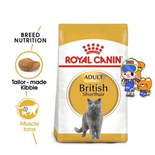 Royal Canin British Shorthair Kitten 10kg / British Shorthair Adult 10kg อาหารแมว ลูกแมว บริติช 10 กก.