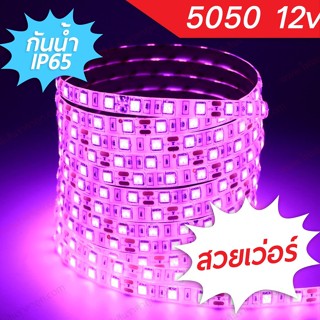 NOV ไฟ led เส้น 5050 12v  IP65 60led/m ยาว 5เมตร (สีพิเศษชมพู)