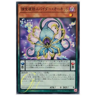 [LVP3-JP075] Predaplant Spider Orchid (Common)