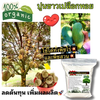 ปูนขาวเปลือกหอย ถุงละ 2กก. ปรับสภาพดิน ฆ่าเชื้อรา 🐌🐚