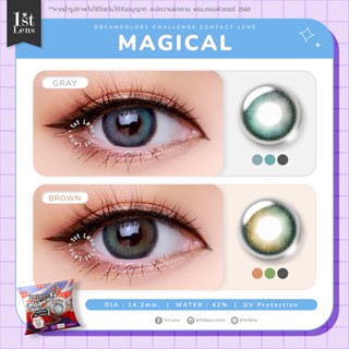 ✨ใหม่!✨ (0.00-6.00) รุ่น ★ MAGICAL ★ (สีเทา/น้ำตาล) Dreamcolor1 Challenge Contact Lens | คอนแทคเลนส์ รายเดือน | Blister