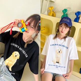 (1 บาทสำหรับลูกค้าใหม่) เสื้อโอเวอร์ไซส์ Golden Retriver 🐶💖 เสื้อยืด เสื้อแขนสั้น