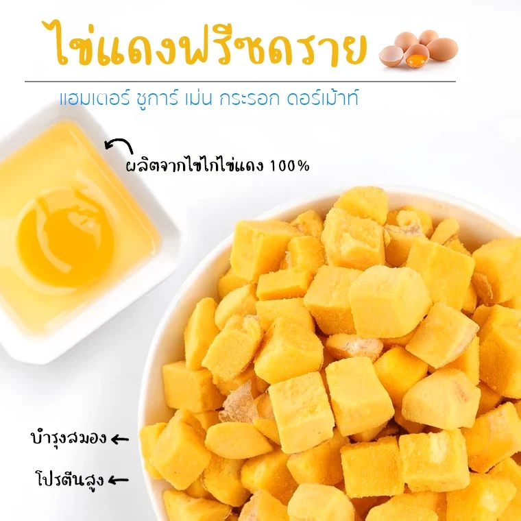 ไข่เเดงฟรีซดาย ไข่เเดงเสริมโปรตีน ไข่เเดงอัดเม็ด แฮมเตอร์ ชูการ์ เม่นแคระ กระรอก ดอร์เม้าท์ (แบ่งขายกะปุกทดลอง)