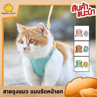 Cataccessories เสื้อกั๊กสายจูงแมว สายจูงแมว สายจูงแบบผ้าคาดหน้าอก  สำหรับแมวโต  มีให้เลือก3ไซส์ 3 สี