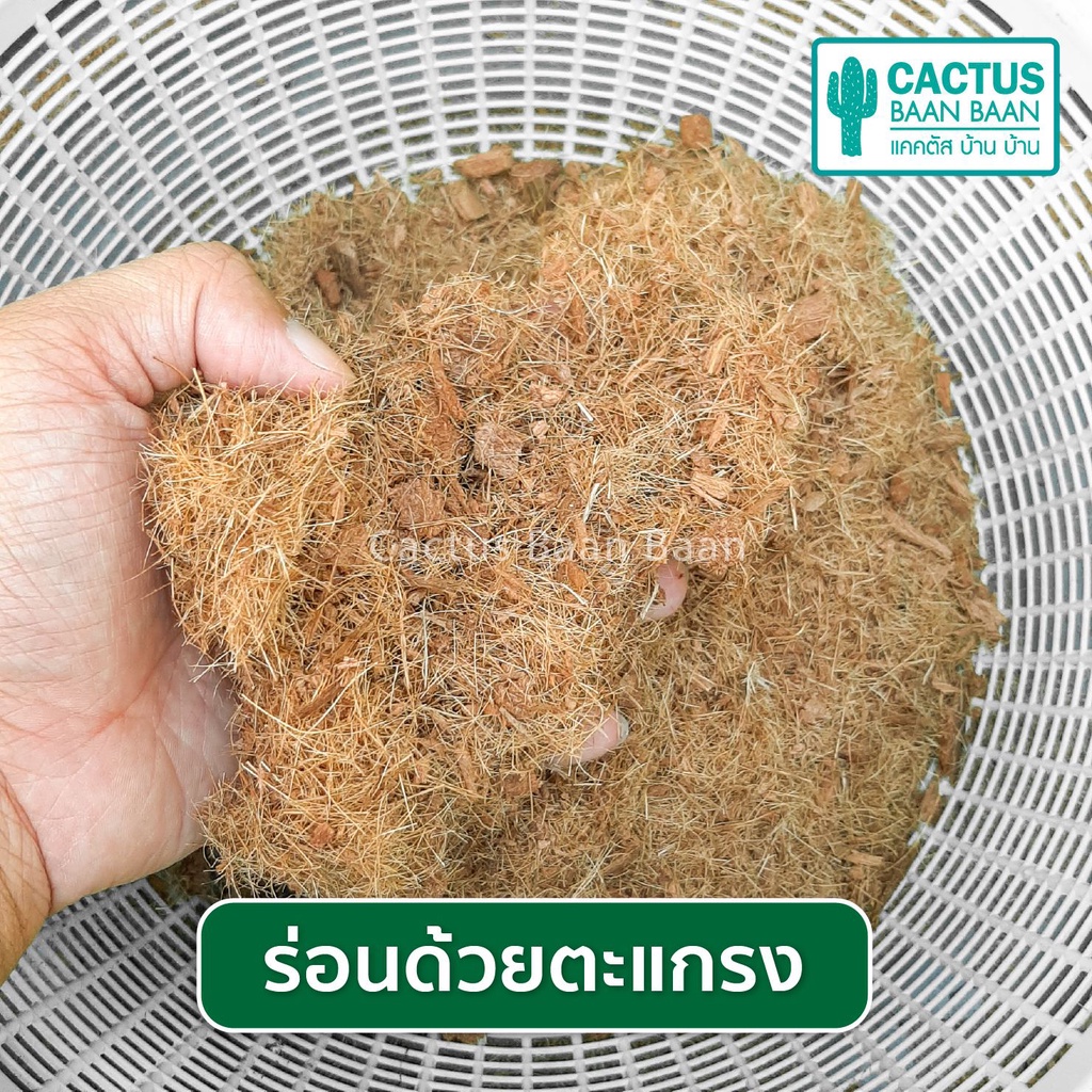 กาบมะพร้าวสับ ขุยมะพร้าวร่อน บรรจุ 1 ลิตร - รูปที่ 4