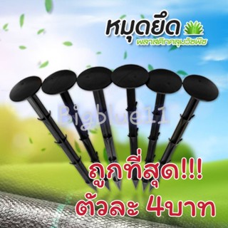 Bigblue ตัวละ 4 บาท หมุดปักผ้าคลุมวัชพืช -หมุด PT 8 นิ้ว ทรงตะปู ( 12199002)