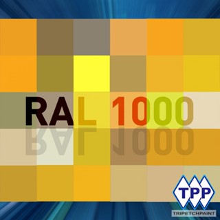 สีผสม RAL 1000 ชนิดพร้อมใช้งาน ขนาด 1/2 ลิตร