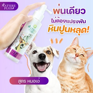 ขจัดคราบหินปูน ลดกลิ่นปาก ฟันสวย บำรุงกระดูก ผลิตภัณฑ์เสริมแคลเซียม NaturePlus ทานง่าย กระดูกแข็งแรง