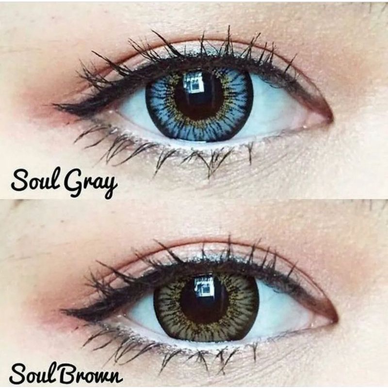 Soul/Mini Soul gray brown Dream color1