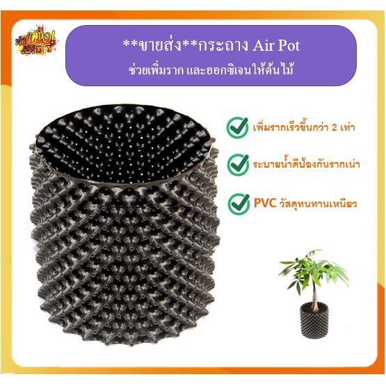 ✅ถูกที่สุด!✅ กระถางต้นไม้เพิ่มราก air pot เพิ่มออกซิเจน และราก กระถางต้นไม้ กระถางพลาสติก ของแท้ ถูก