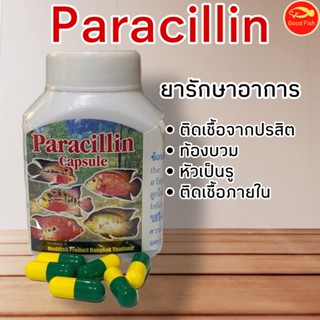 ยารักษาปลาสวยงาม ติดเชื้อจากปรสิต,หัวเป็นรู,ท้องบวม Paracillin Medifish