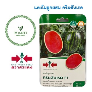 เมล็ดแตงโม (Watermelon seeds) คริมสันเรด F1 ตราศรแดง ซองแข็ง 40 เมล็ด ผักสวนครัว