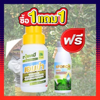 ปุ๋ยน้ำเอมม่า เอมม่า ปุ๋ยเอมม่าขนาด 500 ซีซี 1 ขวด (แถมฟรีสารจับใบ เอฟอช 100ซีซี) ปุ๋ยน้ำสูตรเข้มข้น