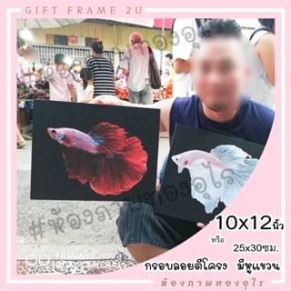 กรอบลอย 10x12 พร้อมรูปอัด สีสวย ไม่ซีด ไม่มีรา ไม่เหม็น ส่งเร็วมาก เลือกรูปได้เอง ส่งรูปทางแชท ตีโครง