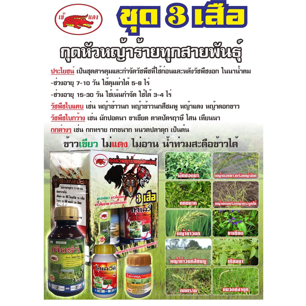 ชุดสามเสือ คุมฆ่าวัชพืชในนาข้าว เหมาะกับนาที่พื้นที่ไม่สม่ำเสมอ สามารถคุมวัชพืชได้หลากหลาย ใช้ได้ในข้าวช่วงเวลา 7-14 วัน