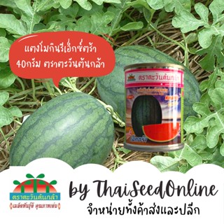 ADV กป 40g แตงโมลูกผสม กินรีเอ็กซ์ตร้า ตราตะวันต้นกล้า กินรีเอ็กตร้า