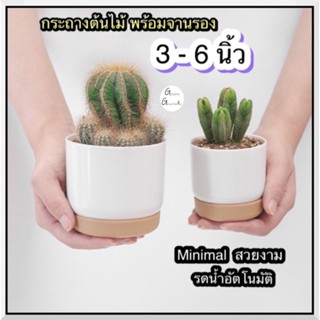 กระถางมินิมอล มีจานรอง กระถางรดน้ำอัตโนมัติ แบบ​เก็บ​น้ำ​ได้​   กระถางรดน้ำต้นไม้อัตโนมัติ ตกแต่งร้าน กระถางต้นไม้