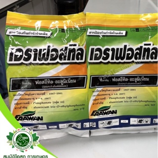 เอราฟอสทิล 1 กิโลกรัม (ฟอสอีทิล อะลูมิเนียม 80% WP ) ป้องกันและกำจัดโรคพืช เช่น โรครากเน่า โรคยอดเน่า