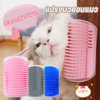 🐾พร้อมส่ง🐾หวีขนแมว แปรงนวดขนแมว แบบติดผนัง ให้แมวเข้าไปถู 2 in 1