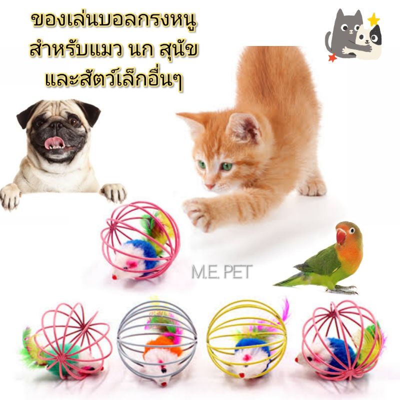 บอลกรงหนู ของเล่นสำหรับนก แมว สุนัข