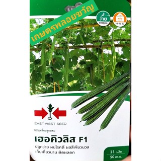 เมล็ดพันธุ์ บวบเหลี่ยม บวบเหลี่ยมลูกผสม เฮอคิวลิส F1 🥒หมดอายุ08/11/2566🥒ต้นแข็งแรง ปลูกง่าย บวบหวาน บรรจุ25เมล็ด