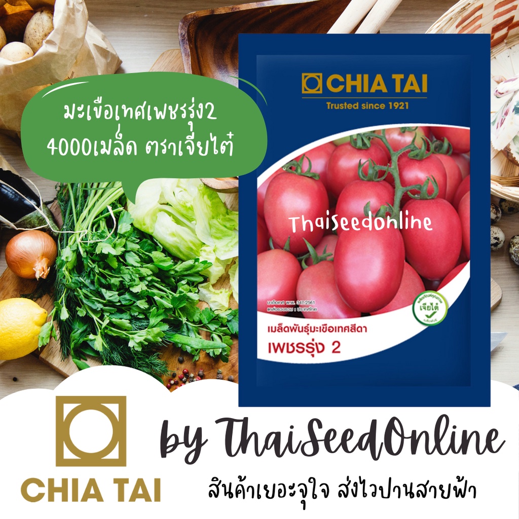 CTCOM มะเขือเทศสีดาลูกผสม ซองใหญ่ 4000 เมล็ด หมดอายุ 5/2570 เพชรรุ่ง2 ตราเจียไต๋ เพชรรุ่ง มะเขือสีดา Tomato Tomato