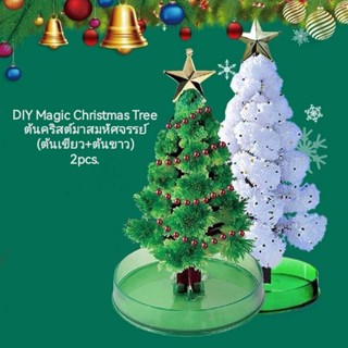 DIY Magic Christmas Tree🎄 ต้นคริสต์มาสมหัศจรรย์ (ต้นเขียว / ต้นขาว) คริสต์มาส