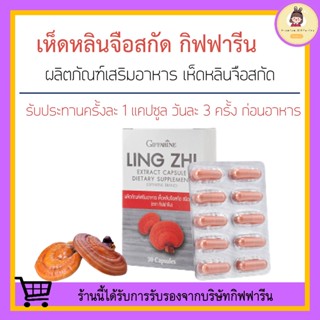 [ ส่งฟรี ไม่ต้องใช้โค้ด ] เห็ดหลินจือ เห็ดหลินจือแดง เห็ดหลินจือสกัด กิฟฟารีน LING ZHI MUSHROOM GIFFARINE