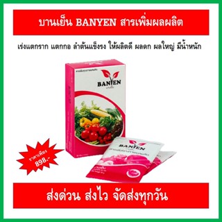 ปุ๋ย บานเย็น BANYEN สูตรเพิ่มผลผลิต เร่งแตกราก แตกกอ ลำต้นแข็งแรง ผลผลิตดก ผลใหญ่ น้ำหนักดี ใช้ได้ทั้งพืชไร่ และพืชสวน