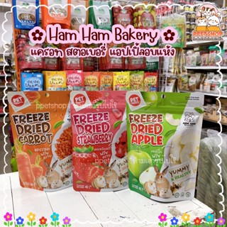 ppetshop - Ham Ham Bakery แครอทอบแห้ง / สตอเบอรี่อบแห้ง / แอปเปิ้ลอบแห้ง 40 กรัม