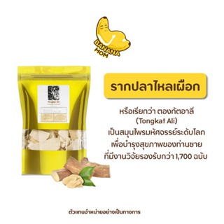 Bananamom | รากปลาไหลเผือก | บานาน่ามัม  x 1 ชิ้น ครูก้อย อสุจิ รากปลาไหล ตั้งครรภ์ กระดูกพรุน เวย์ ออแกนิค ikdx]kws]