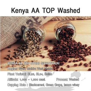 เมล็ดกาแฟสาร/เมล็ดกาแฟคั่วเคนย่า เอเอ  KENYA AA TOP