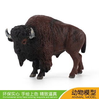 โมเดลสัตว์ป่าจําลอง รูปวัวอเมริกัน Bison สร้างสรรค์ เครื่องประดับสําหรับสัตว์เลี้ยงลูกด้วยนม