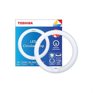 หลอด LED TOSHIBA MAGNETIC CIRCULAR 20 วัตต์ DAYLIGHT G10q