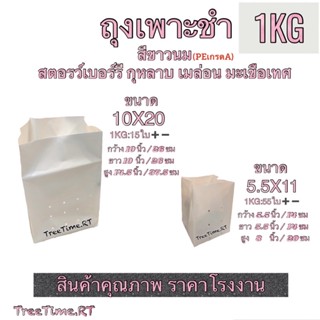 ถุงเพาะชำ PE สีขาวนม ➰5.5X11 ~ 10X20➰ (1KG) เนื้อPE เหนียวกว่า ทนกว่า ใช้ได้นานกว่า เนื้อHD (1KG)