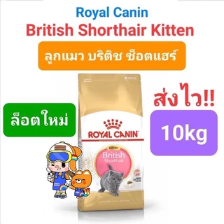Royal Canin British Shorthair Kitten 10kg / British Shorthair Adult 10kg อาหารแมว ลูกแมว บริติช 10 กก.