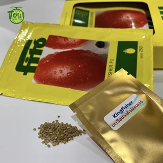 เมล็ดพันธุ์มะเขือเทศคิงฟิชเชอร์ 10 เมล็ด kingfisher tomato