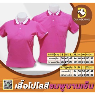 เสื้อโปโลสีชมพูบานเย็น